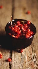New mobile wallpapers - free download. Food, Berries picture and image for mobile phones.