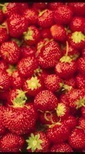 New mobile wallpapers - free download. Food, Berries, Strawberry picture and image for mobile phones.