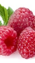 New mobile wallpapers - free download. Food, Raspberry, Berries picture and image for mobile phones.