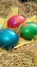 New mobile wallpapers - free download. Food, Eggs, Easter, Holidays picture and image for mobile phones.