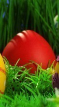 New mobile wallpapers - free download. Food, Eggs, Easter, Holidays picture and image for mobile phones.