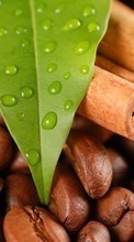 New mobile wallpapers - free download. Food, Leaves, Drops, Coffee, Cinnamon picture and image for mobile phones.