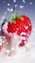 New mobile wallpapers - free download. Food, Strawberry picture and image for mobile phones.