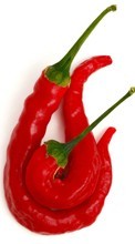 New mobile wallpapers - free download. Food, Pepper picture and image for mobile phones.