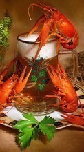 New mobile wallpapers - free download. Food,Beer,Crayfish picture and image for mobile phones.