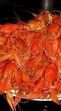New mobile wallpapers - free download. Food, Crayfish picture and image for mobile phones.