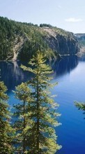 New mobile wallpapers - free download. Landscape, Mountains, Fir-trees, Lakes picture and image for mobile phones.