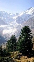 New mobile wallpapers - free download. Landscape, Mountains, Fir-trees picture and image for mobile phones.