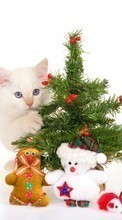 New mobile wallpapers - free download. Holidays, Animals, Cats, New Year, Toys, Objects, Fir-trees, Christmas, Xmas picture and image for mobile phones.