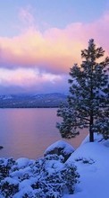 New mobile wallpapers - free download. Landscape, Winter, Sky, Fir-trees, Lakes picture and image for mobile phones.
