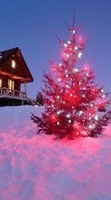 New 128x160 mobile wallpapers Holidays, Landscape, Winter, New Year, Fir-trees, Christmas, Xmas free download.