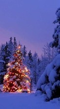 New mobile wallpapers - free download. Fir-trees,New Year,Landscape,Winter picture and image for mobile phones.