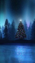 New mobile wallpapers - free download. Fir-trees,New Year,Holidays picture and image for mobile phones.