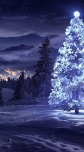 New mobile wallpapers - free download. Fir-trees, New Year, Holidays, Pictures, Christmas, Xmas, Snow, Winter picture and image for mobile phones.