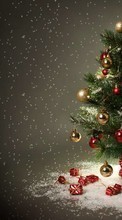 New 1024x768 mobile wallpapers Fir-trees, New Year, Holidays, Christmas, Xmas free download.