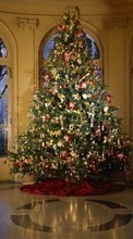 New mobile wallpapers - free download. Holidays, New Year, Fir-trees, Christmas, Xmas picture and image for mobile phones.