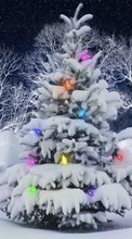 New mobile wallpapers - free download. Fir-trees, New Year, Holidays, Christmas, Xmas, Snow picture and image for mobile phones.