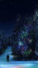 New mobile wallpapers - free download. Fir-trees, New Year, Holidays, Christmas, Xmas, Winter picture and image for mobile phones.