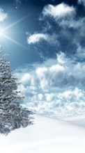 New 1024x768 mobile wallpapers Fir-trees, New Year, Holidays, Christmas, Xmas, Winter, Stars free download.