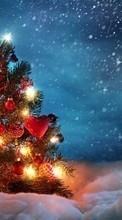 New mobile wallpapers - free download. Fir-trees, New Year, Holidays, Snow picture and image for mobile phones.