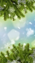 New mobile wallpapers - free download. Fir-trees, New Year, Holidays, Snowflakes picture and image for mobile phones.
