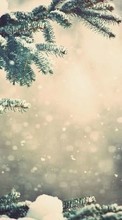 New mobile wallpapers - free download. Fir-trees, Landscape, Plants, Snow, Winter picture and image for mobile phones.