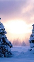 New mobile wallpapers - free download. Fir-trees, Landscape, Snow, Sunset, Winter picture and image for mobile phones.