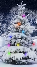 New mobile wallpapers - free download. Fir-trees,Holidays picture and image for mobile phones.