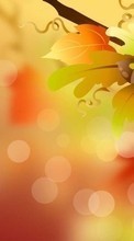 New mobile wallpapers - free download. Acorns, Background, Leaves, Autumn, Pictures picture and image for mobile phones.