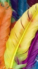 New mobile wallpapers - free download. Feather,Background picture and image for mobile phones.