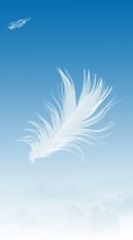 New mobile wallpapers - free download. Feather,Background picture and image for mobile phones.