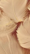 Feather,Objects for OnePlus Nord