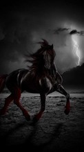 New mobile wallpapers - free download. Fantasy,Horses,Animals picture and image for mobile phones.