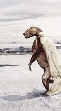 Fantasy, Bears, Snow, Animals for HTC HD7