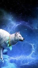 New mobile wallpapers - free download. Fantasy, Wolfs, Animals picture and image for mobile phones.