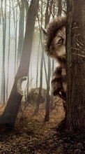New mobile wallpapers - free download. Fantasy,Animals picture and image for mobile phones.