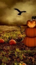 Background,Halloween,Holidays for LG GX200