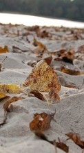 New 1280x800 mobile wallpapers Backgrounds, Autumn, Leaves, Beach, Sand free download.