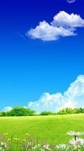 Background, Sky, Clouds, Landscape, Grass for LG K10 K430N