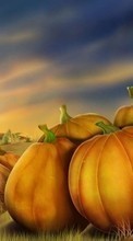 New mobile wallpapers - free download. Background, Vegetables, Pictures, Pumpkin picture and image for mobile phones.