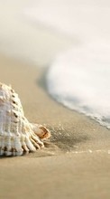 Background,Shells for Samsung Galaxy Grand Prime VE