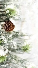 New mobile wallpapers - free download. Background, Plants, Cones, Pine picture and image for mobile phones.