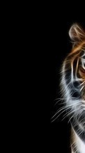 New mobile wallpapers - free download. Background,Pictures,Tigers,Animals picture and image for mobile phones.