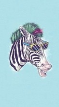 New mobile wallpapers - free download. Background, Funny, Zebra, Animals picture and image for mobile phones.