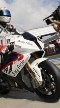 New mobile wallpapers - free download. Races,Motorcycles,Sports picture and image for mobile phones.