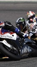 New mobile wallpapers - free download. Races, Motorcycles, Sports, Transport picture and image for mobile phones.