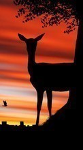 New mobile wallpapers - free download. Cities, Deers, Pictures, Sunset, Animals picture and image for mobile phones.