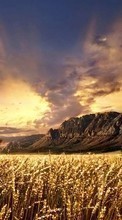 New mobile wallpapers - free download. Mountains,People,Men,Landscape,Fields,Wheat picture and image for mobile phones.