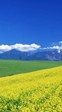 New mobile wallpapers - free download. Mountains, Sky, Landscape, Fields picture and image for mobile phones.
