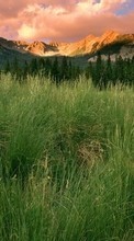 New 360x640 mobile wallpapers Landscape, Grass, Mountains free download.